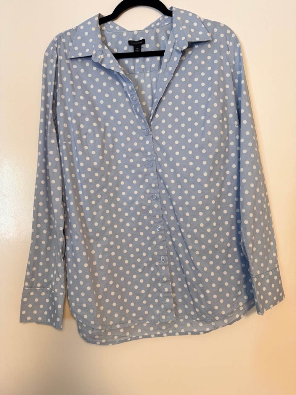 Ann Taylor Light Blue and White Polka Dot Blouse